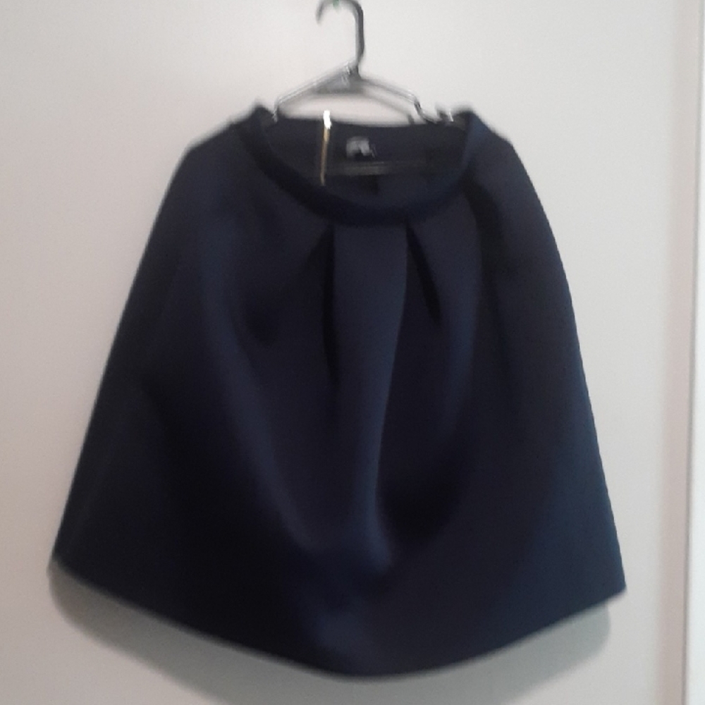 Elegant Navy Blue Women's Skirt